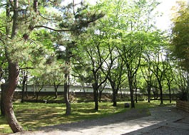 庭園