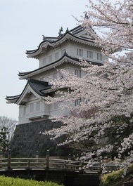 桜と忍城御三階櫓