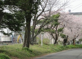 石田堤