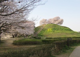 石田堤と丸墓山古墳