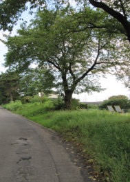 石田堤