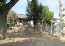 内側から見た鷺栖神社