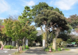 梅龍山東竹院久松寺