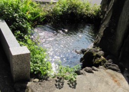 源流口